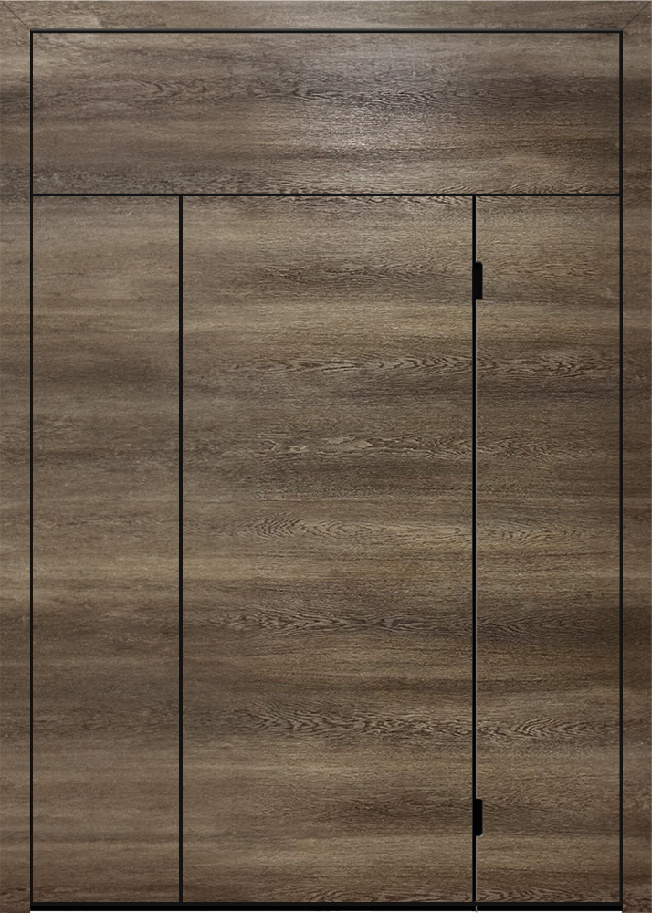 19.06.58 Кортекс ДСФББ